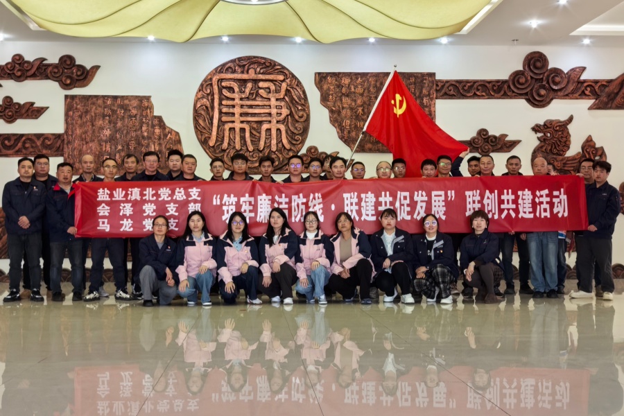 馬龍、會澤黨支部聯(lián)合滇北黨總支開展主題黨日活動