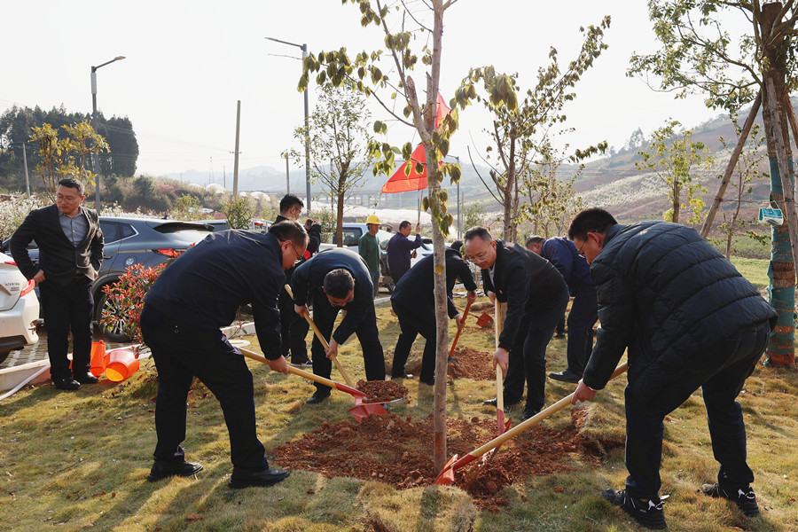 1742369400377554.jpg 植樹活動_副本.jpg