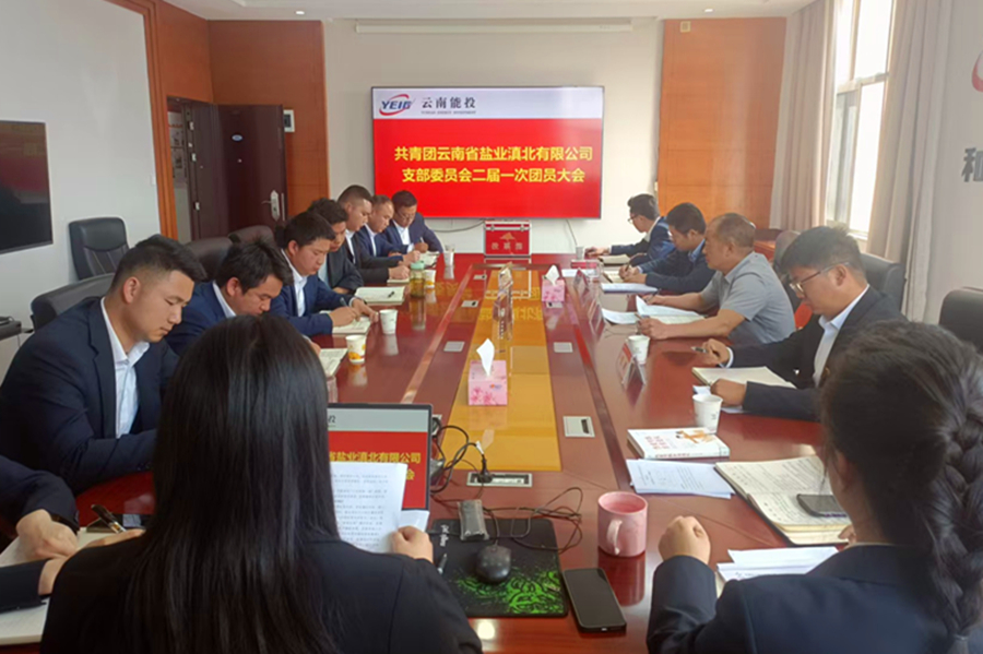 1745567821867609.jpg 會議現(xiàn)場.jpg